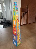 Haba Stapelturm Rapunzel fester Pappkarton Nordrhein-Westfalen - Büren Vorschau