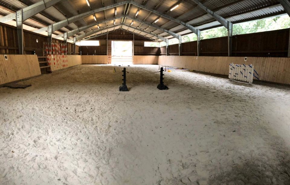 NEU Reitunterricht Gruppenunterricht Ponyclub Kinder Umgang in Neuenkirchen