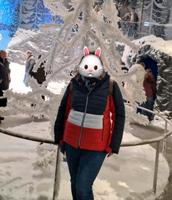 CMP Damen Skijacke Snowboardjacke wie neu! Gr. 46 Hessen - Schwalmstadt Vorschau