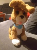 Hasbro Fureal Hund Chatty Charlie Niedersachsen - Stöckse Vorschau