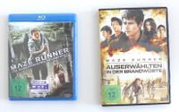 Maze Runner Teil 1 und 2 (ungeschnittene Fassung) Hessen - Königstein im Taunus Vorschau