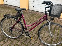 Damen-Fahrrad 28 Zoll, Rabeneick Discovery Nordrhein-Westfalen - Mülheim (Ruhr) Vorschau