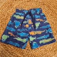 Schwimmshorts Badeshorts Jungenshorts Badehose Gr 104 blau Fisch Nordrhein-Westfalen - Sankt Augustin Vorschau