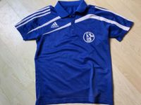 Polo Shirt FC Schalke 04 - Königsblau (Kinder) - adidas Rheinland-Pfalz - Bleialf  Vorschau