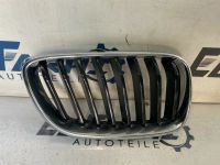 Bmw 2er F22 F23 Grill Gitter Kühlergrill 7295522 Rechts Essen - Altenessen Vorschau