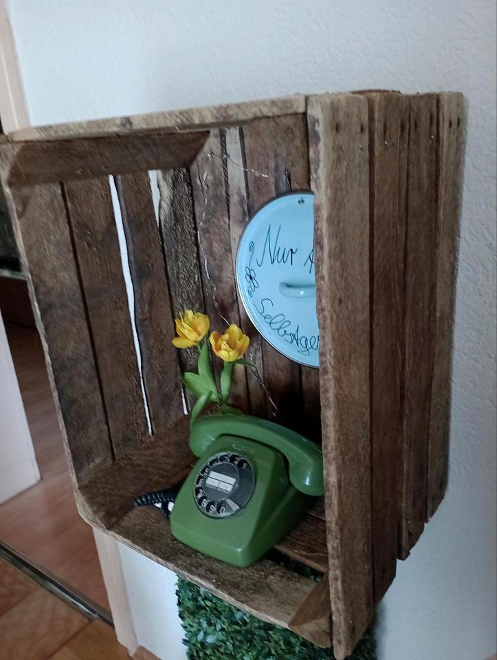 Unikat alte Holzkiste mit Deko, altes Telefon usw. selbstgemacht in Pfatter