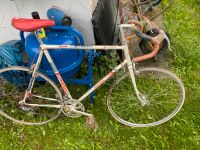 Hercules Renn Fahrrad Rheinland-Pfalz - Kelberg Vorschau