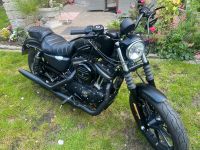 Harley Davidson Iron 883 Brandenburg - Frankfurt (Oder) Vorschau