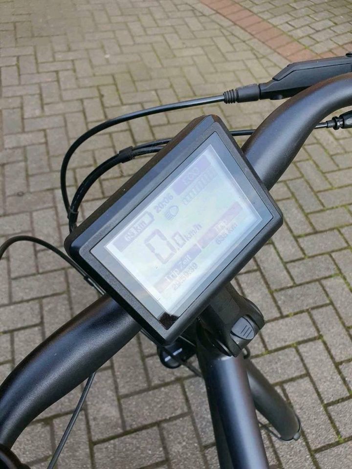 Raleigh E-Bike Herren Pedelec top Zustand in Lindern (Oldenburg)