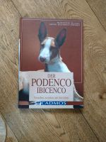 Der Podenco Ibicenco Buch von  Cadmos Niedersachsen - Uetze Vorschau