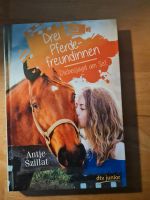 Buch Pferdefreudinnen Diebesjagd am Set Altona - Hamburg Ottensen Vorschau