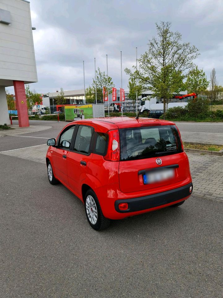Fiat Panda lpg in Berlin