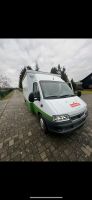 Fiat Ducato Fleischerei Verkaufswagen Brandenburg - Kolkwitz Vorschau