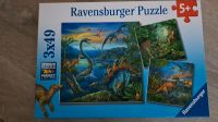 Puzzle Dinosaurier Nordrhein-Westfalen - Nottuln Vorschau