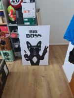 Big Boss Bild Hessen - Bad Hersfeld Vorschau