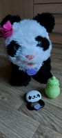 Bär, Panda, Spielzeug, FurRealFriends My Baby Panda Nordrhein-Westfalen - Ahaus Vorschau