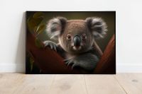 Poster Wandbild Kunstdruck Bild Koala Dschungel Baum KOALA Nordrhein-Westfalen - Wegberg Vorschau