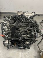 Hyundai i30N Motor Engine G4KH 280PS Facelift 2023 neu Mecklenburg-Vorpommern - Seebad Ahlbeck Vorschau