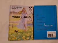 The Ladybird Book of Mindfulness englisch english Rostock - Stadtmitte Vorschau