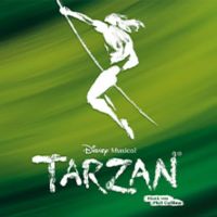 Stage Disney Musical TARZAN 2x Tickets Premium Sa. 01.06 19:30 Bayern - Roth Vorschau