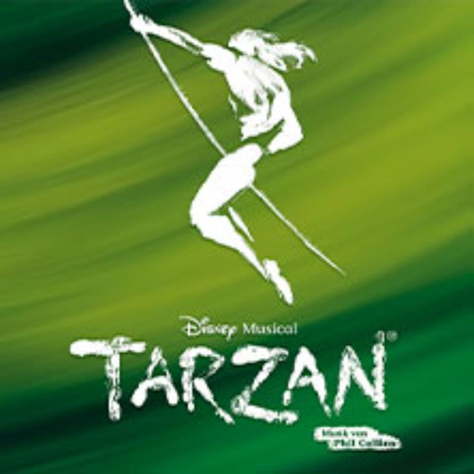 Stage Disney Musical TARZAN 2x Tickets Premium Sa. 01.06 19:30 in Roth
