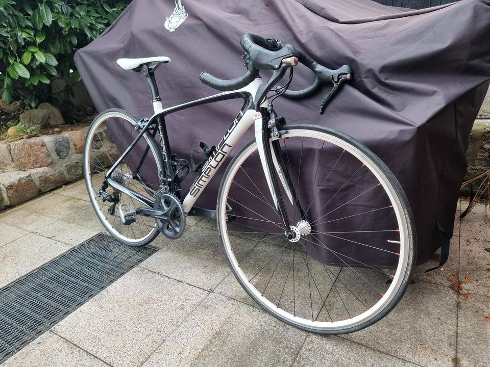 Simplon Kiaro Rennrad Shimano aus Carbon in München