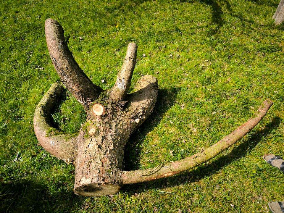 Gartendeko aus Fichtenholzstamm in Geisenhausen