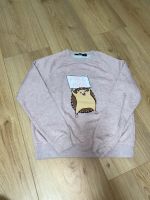 Pulli pink mit Igel drauf von New yorker (Größe xxs) Hessen - Maintal Vorschau