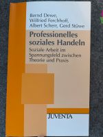 Professionelles soziales Handeln Dewe Soziale Arbeit Thüringen - Schleusingen Vorschau