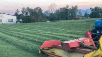 Siloballen silo silage Bayern - Höslwang Vorschau