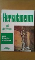 Herkulaneum Vesuv Herculaneum Ausgrabungen Vesuvausbruch Schleswig-Holstein - Großhansdorf Vorschau