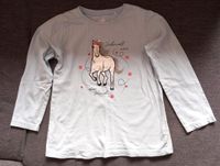 Sweatshirt Pferd Pullover Gr. 122 Topolino Nordrhein-Westfalen - Telgte Vorschau