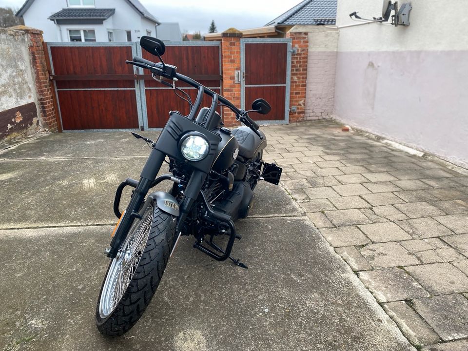 Harley Davidson (USA) Softail in Langenstein