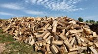 Brennholz Feuerholz frisch oder trocken Thüringen - Zeulenroda Vorschau