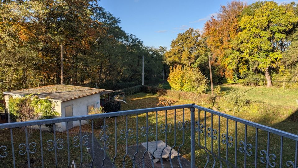 Ein-/Zweifamilienhaus, großer Garten, Platz für Kleingewerbe in Jeßnitz