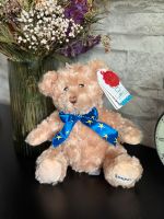 Spielzeug Teddy Bear Sparkys/ Teddybär Sparkys NEU mit Etikett Dresden - Seevorstadt-Ost/Großer Garten Vorschau