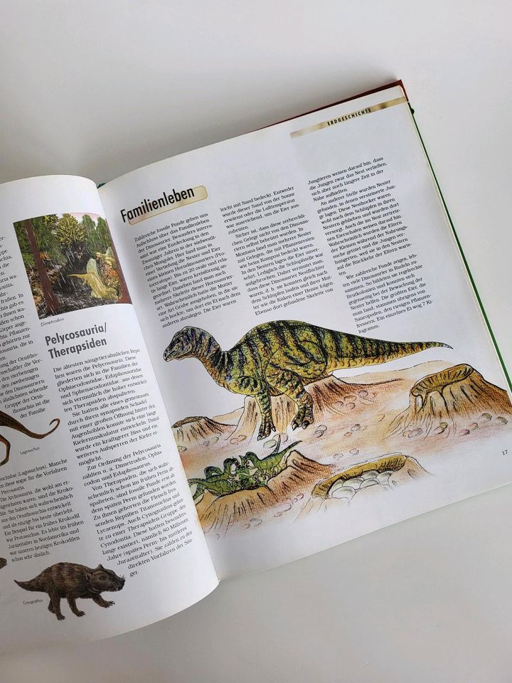 Dinosaurier Buch über Entdeckungen - Arten - Untergang in Isernhagen