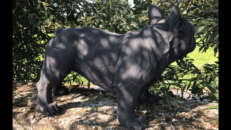 ‼️Französische Bulldogge 17kg 44cm Bulldoggen Steinguss Bully‼️ in Düsseldorf