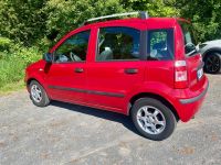 Fiat Panda Saarland - Neunkirchen Vorschau