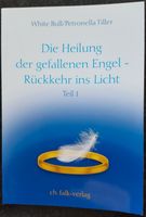 Die Heilung der gefallenen Engel - Rückkehr ins Licht Teil 1 Nordrhein-Westfalen - Lengerich Vorschau