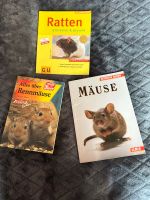 Mäuse und Ratten Nordrhein-Westfalen - Oelde Vorschau