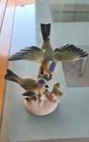 Gräfenthaler Porzellan Figur Vogelgruppe Niedersachsen - Northeim Vorschau
