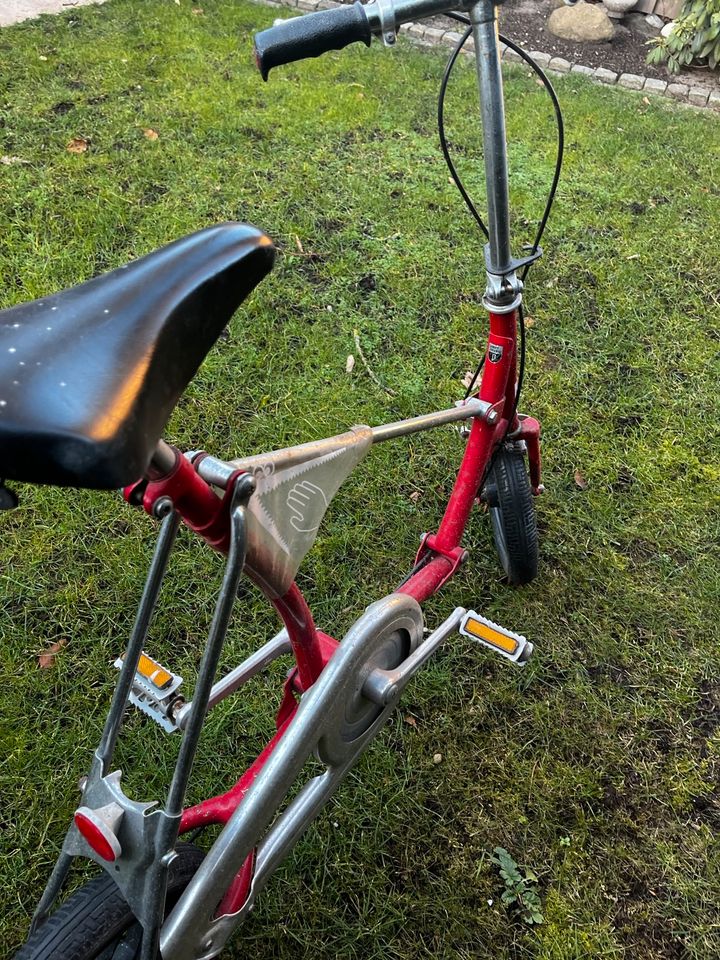 Fahrräder/Klappfahrräder blau und rot in Norderstedt