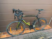 Fuji Roubaix 1.3 LTD Rennrad Fahrrad Hessen - Haina Vorschau