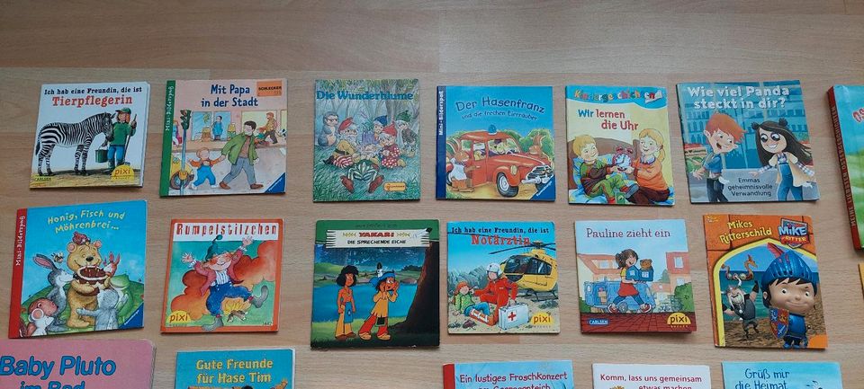 Pixi Buch Kinderbuch Bilderbuch über Insekten Bären Anton in Liebenwalde