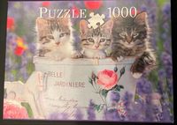 Puzzle 1000 Teile 3 Katzen im Blumentopf Schleswig-Holstein - Itzstedt Vorschau