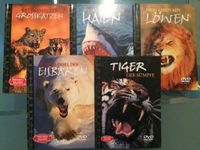 6 DVD Großkatzen Haie Löwen Tiger Eisbären Bayern - Schwabach Vorschau