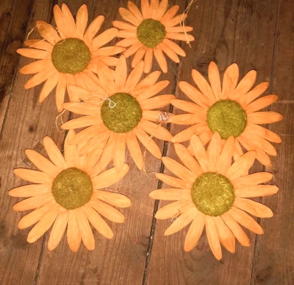Sonnenblume Dekoration in Sachsenheim