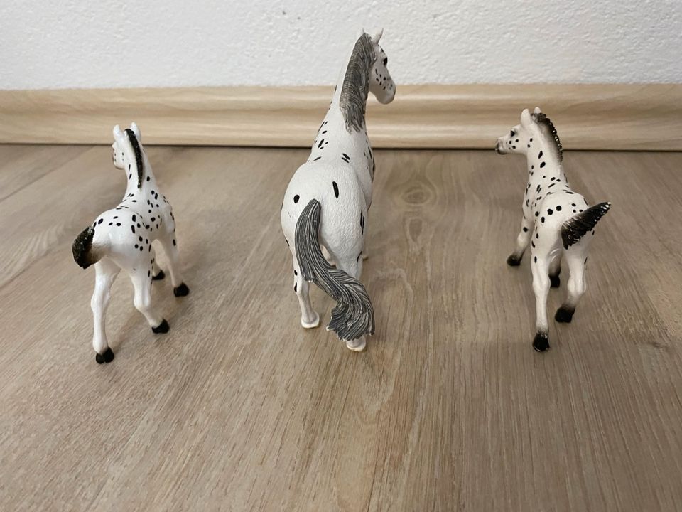 Schleich Horse Club Knabstrupper Pferd 3 stk in Ebensfeld