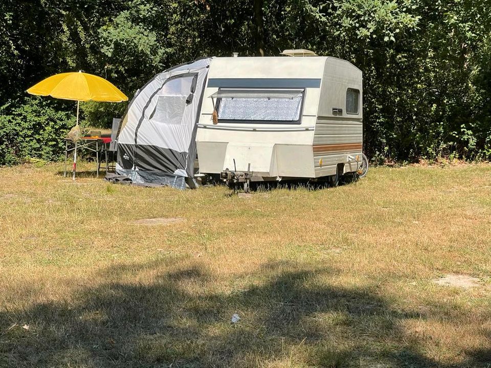 Fiat Doblo - Camping Gespann - DDR Wohnwagen - Dachzelt in Hoyerswerda